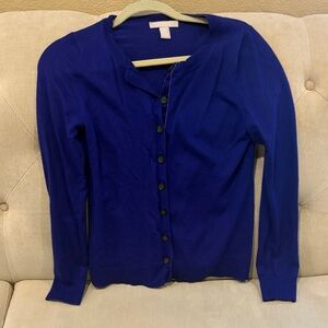 Banana Republic Royal Blue Merino Sweater